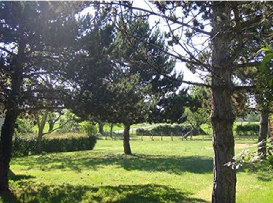 Gites Chez Belliveau Meursac 外观 照片