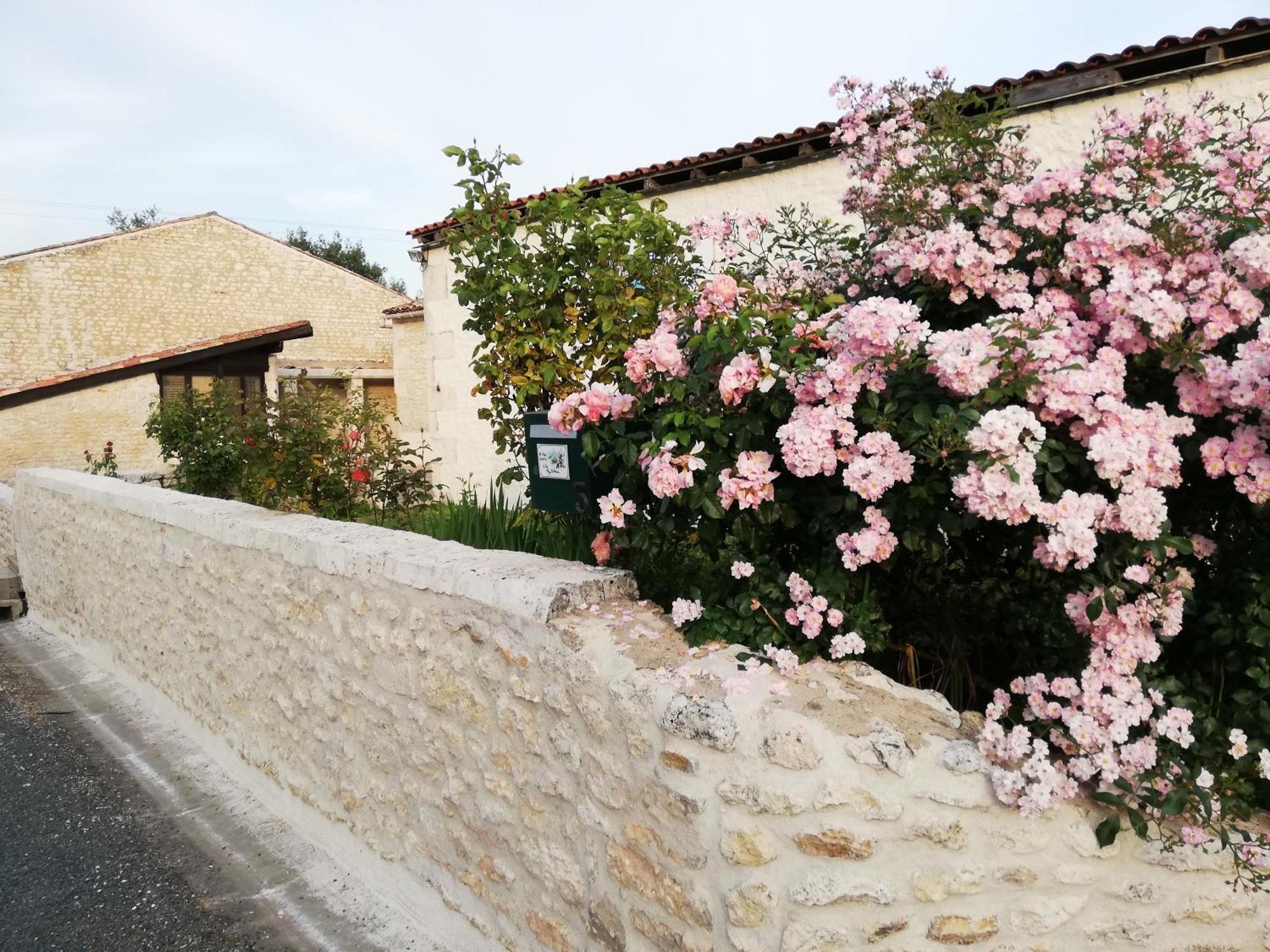 Gites Chez Belliveau Meursac 外观 照片