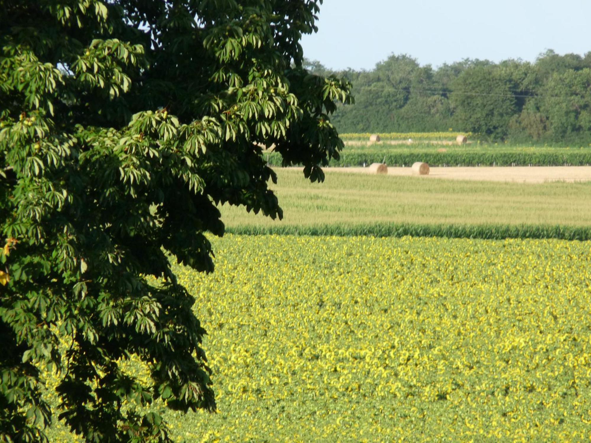 Gites Chez Belliveau Meursac 外观 照片