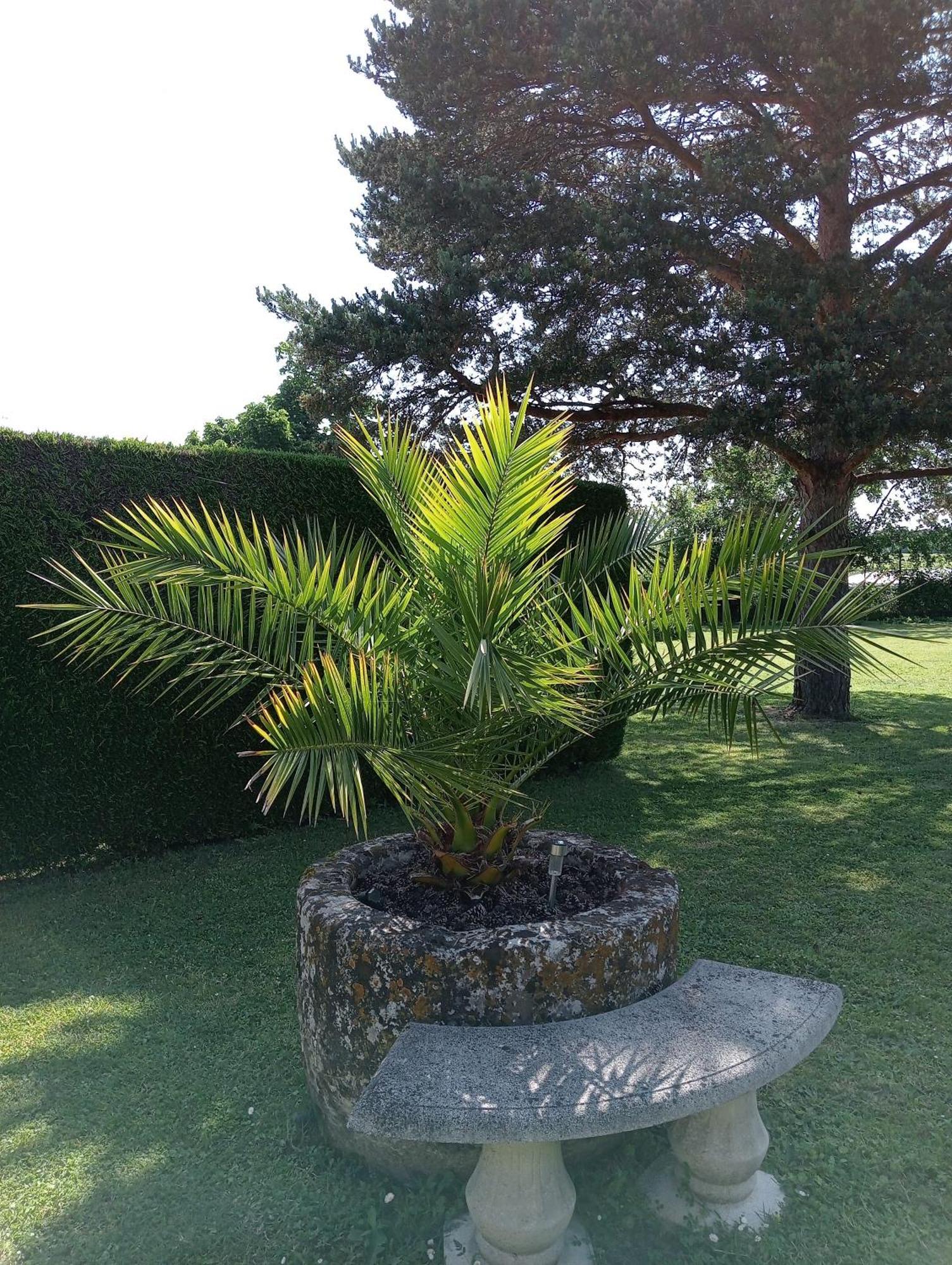 Gites Chez Belliveau Meursac 外观 照片