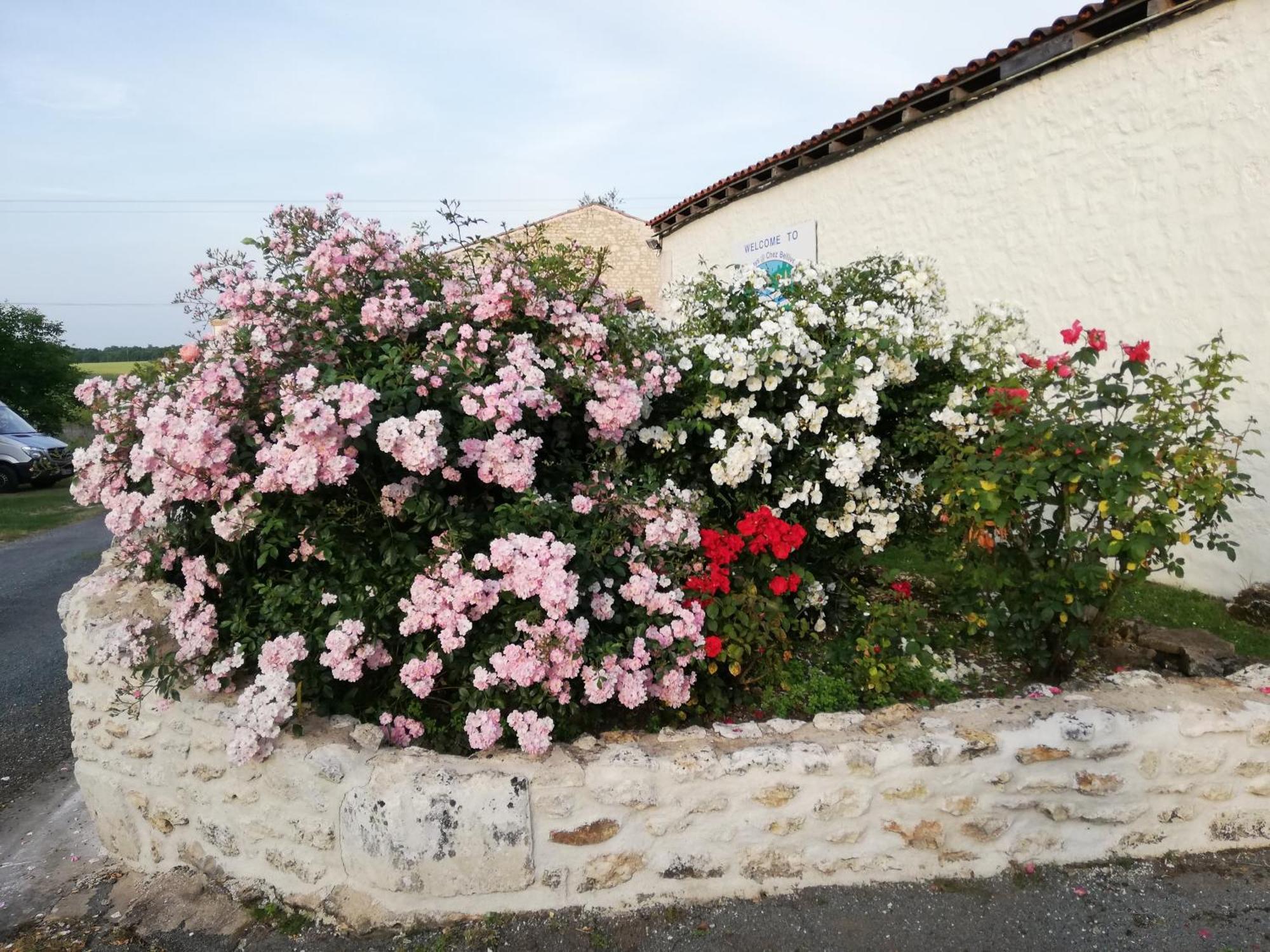 Gites Chez Belliveau Meursac 外观 照片